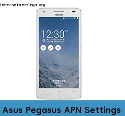 Asus Pegasus