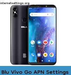 Blu Vivo Go