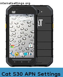 Cat S30