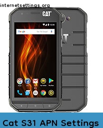 Cat S31