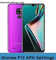 Gionee P12