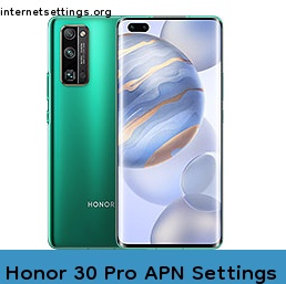 Honor 30 Pro