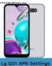 Lg Q31