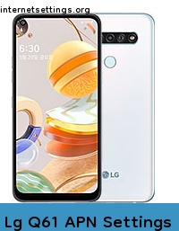 Lg Q61