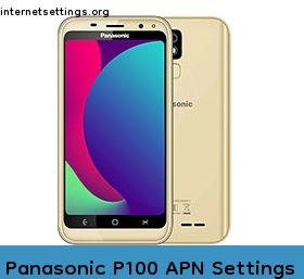 Panasonic P100