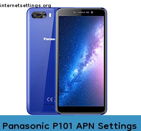 Panasonic P101